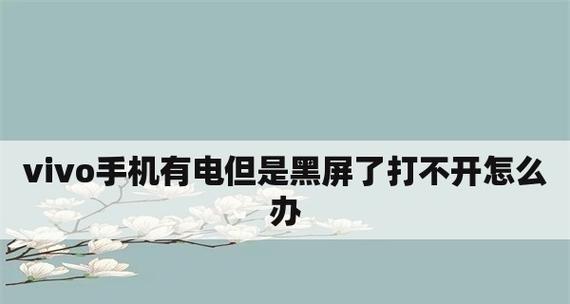 手机屏黑屏处理方法大全（解决手机屏幕黑屏问题的有效方法）  第3张
