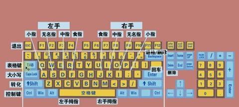 掌握电脑打字技巧的新手指南（快速学习打字）  第3张