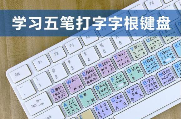 电脑打字入门指南（从零开始学会快速准确打字）  第1张