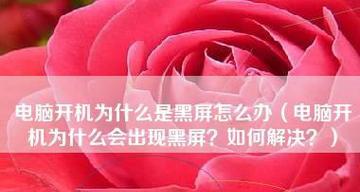 手机黑屏怎么办（遇到黑屏的手机不要慌）  第1张