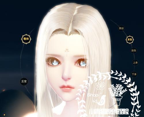 天谕捏脸数据图片大全（用最全面的捏脸数据）  第2张