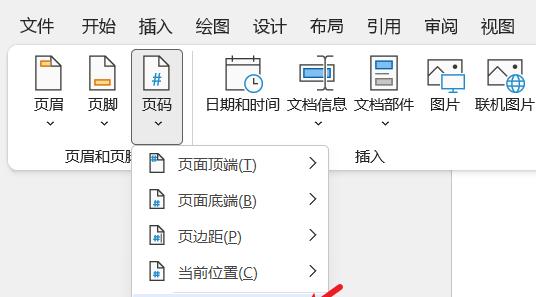 如何设置页码不包括目录和首页？具体操作步骤是什么？  第2张