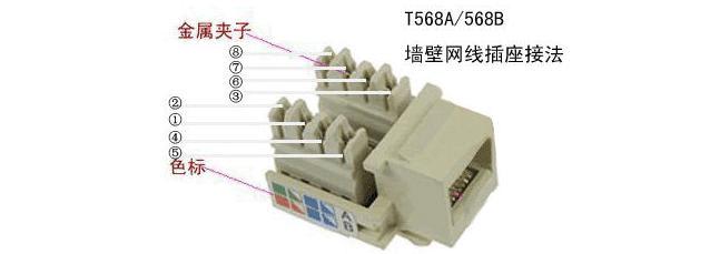 墙上网线插座怎么接？接法图解有哪些步骤？  第2张