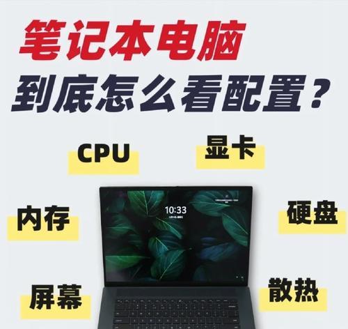 联想笔记本电脑怎么看免费电影？如何设置最佳观看体验？  第2张