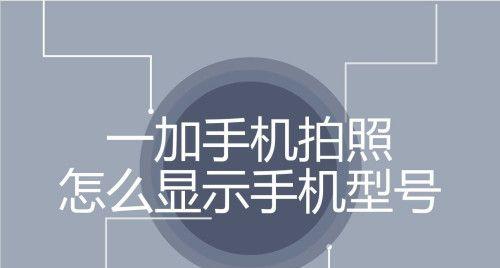 一加12手机拍照实测怎么设置？拍照效果如何？  第2张