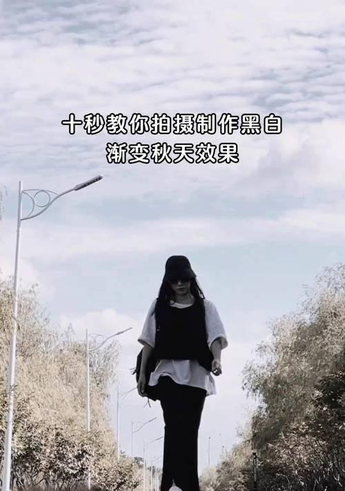 手机拍照灰白调整为黑白的方法是什么？  第3张