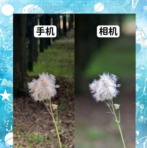 如何用手机控制相机拍照？需要什么应用？  第3张