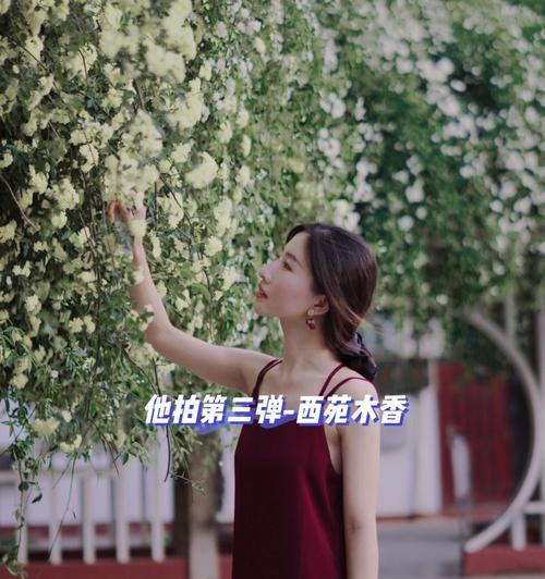 如何在拍照时低调展示手机？  第1张