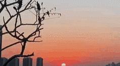 手机拍照运动模式？如何捕捉动态画面？  第1张