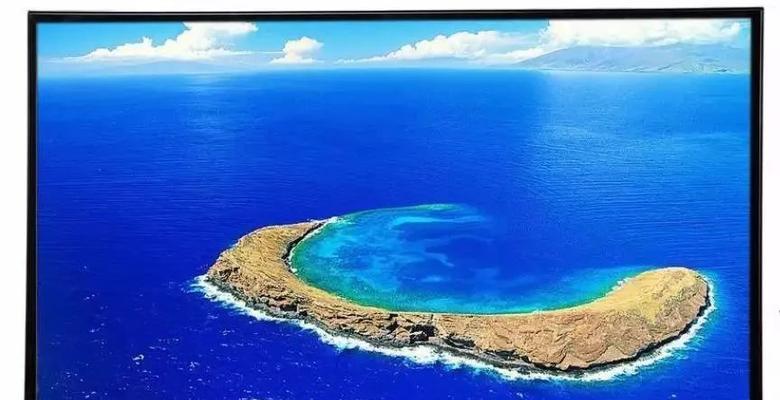海豚传媒平板电脑如何下载应用？  第2张