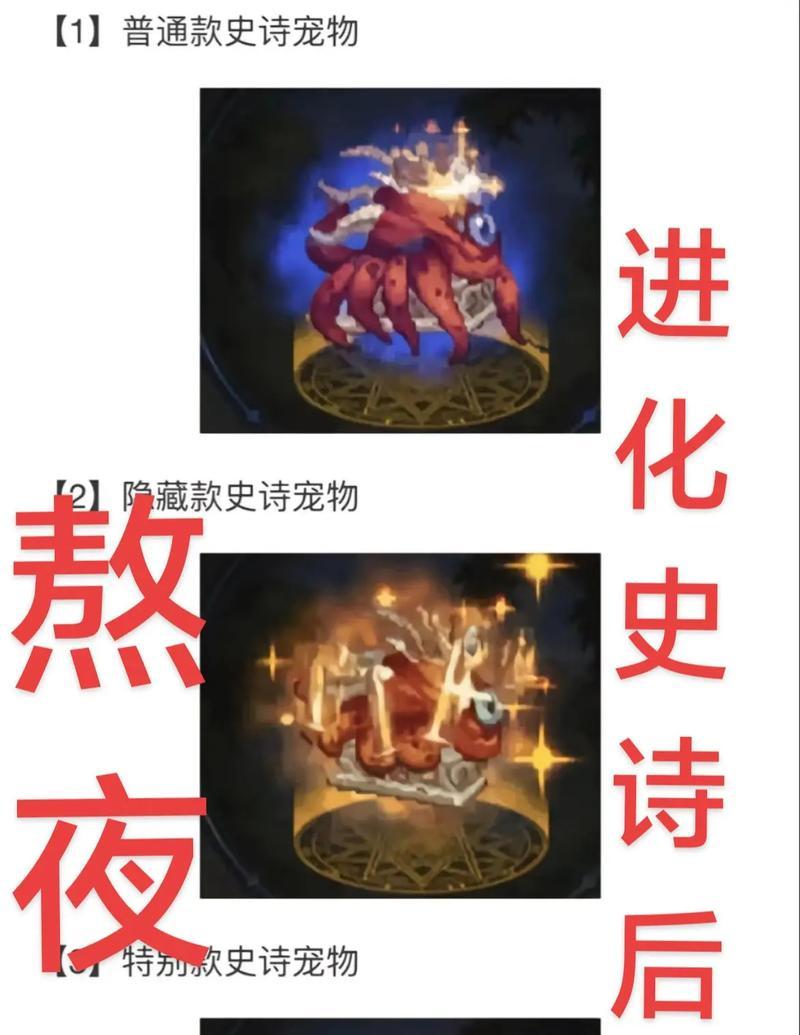 dnf宠物怎么带？带宠物有哪些好处？  第1张