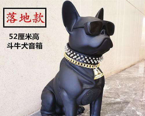 狗子低音炮的训练方法是什么？  第2张