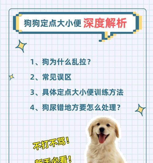狗子低音炮的训练方法是什么？  第3张