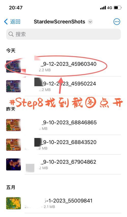 如何在Switch港服商店搜索星露谷？搜索星露谷的步骤是什么？  第3张