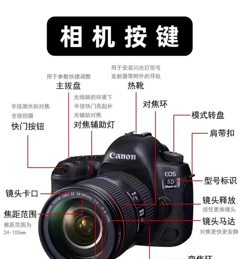 佳能相机小白进阶使用技巧有哪些？  第3张