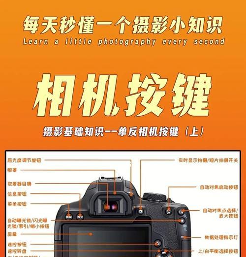 佳能相机人像档位如何使用？使用人像档位有什么好处？  第1张