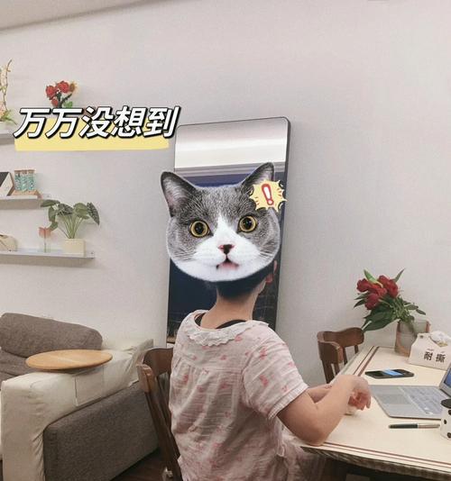 监护仪投屏步骤是什么？  第3张