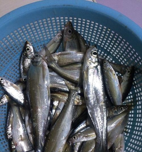 魔兽世界钓鱼制作危险美食指南？哪些食材组合需谨慎？  第3张